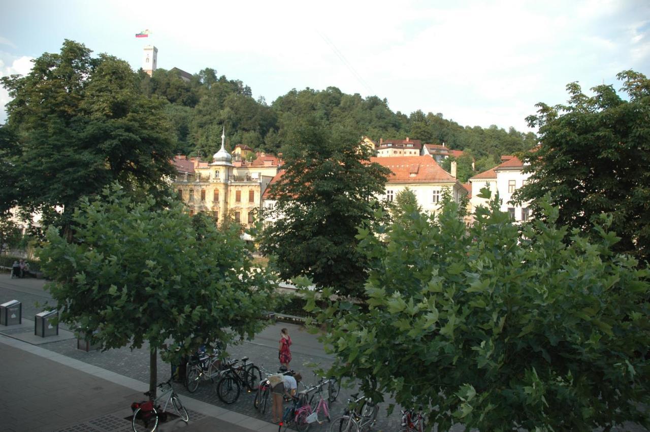 Vitez I Apartma *